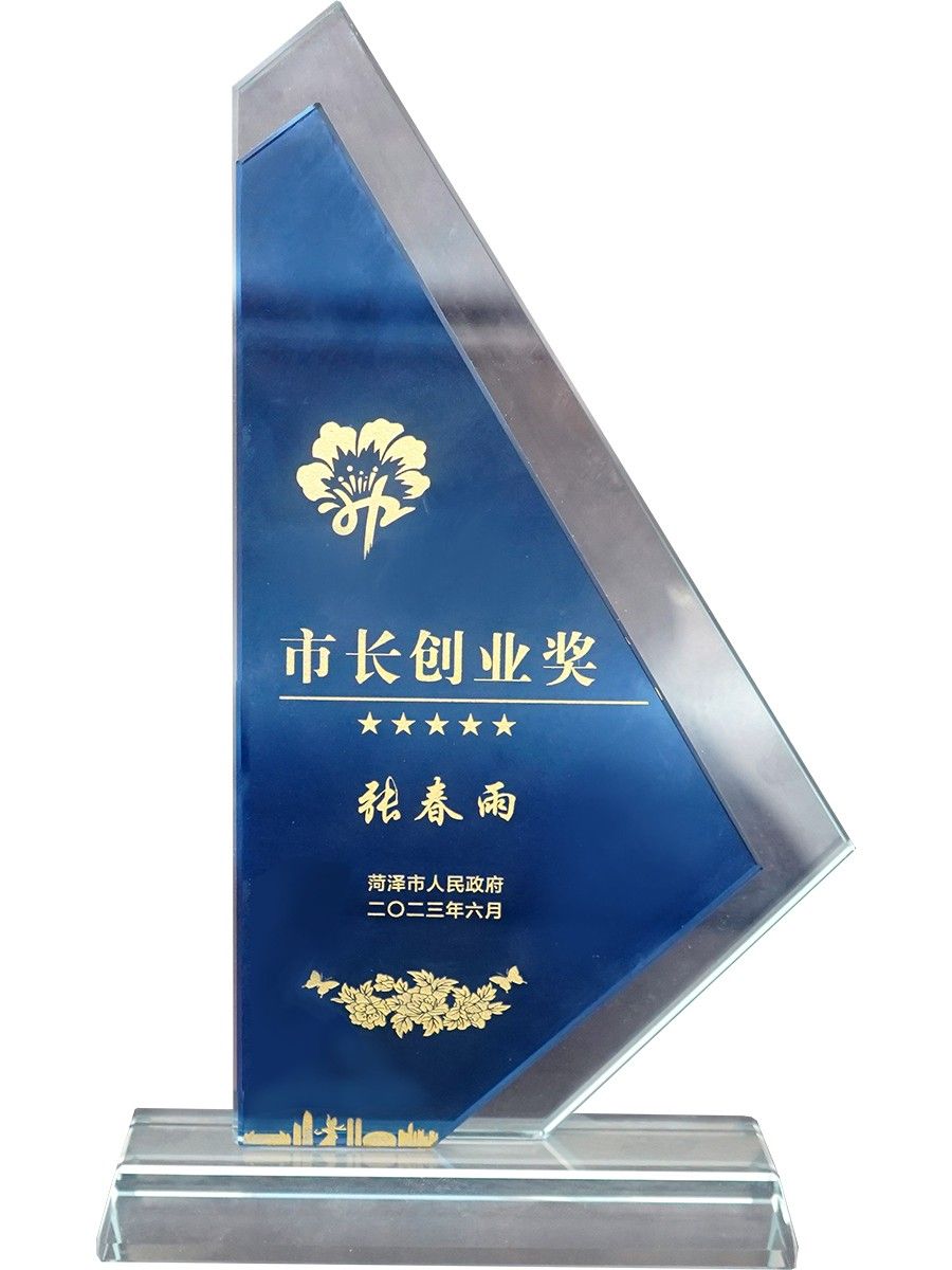 市长创业奖