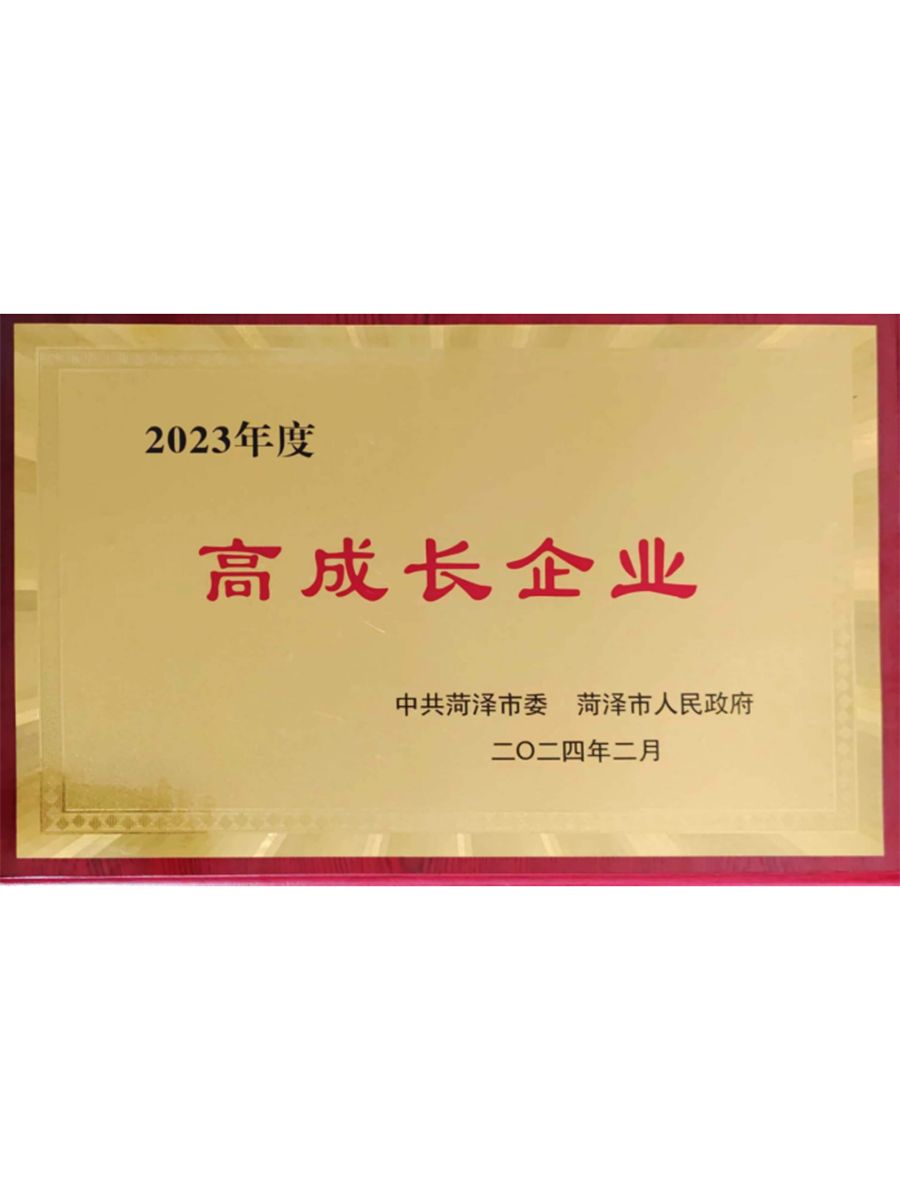 高成长企业