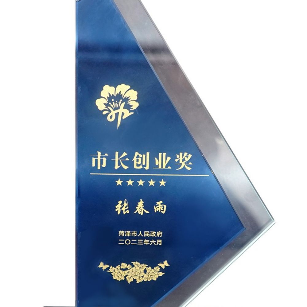 市长创业奖