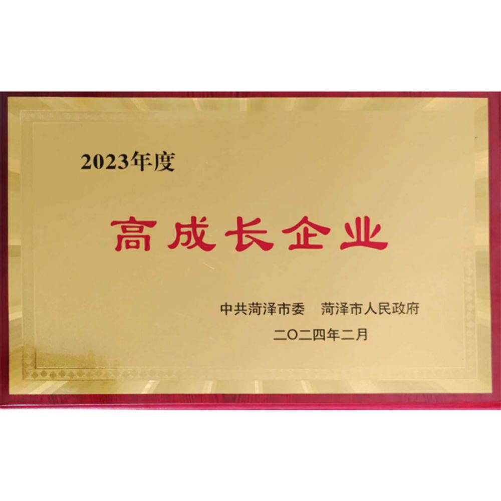 高成长企业